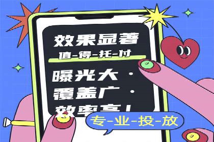 某某SEM团队成功案例：广告投放策略揭秘